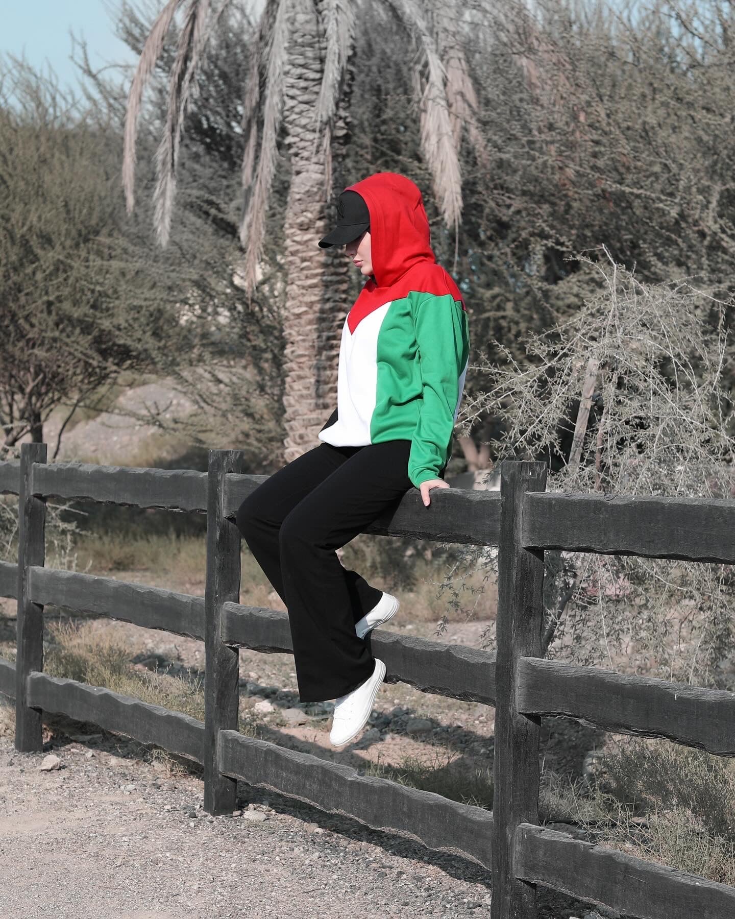 Palestine Flag Hoodie