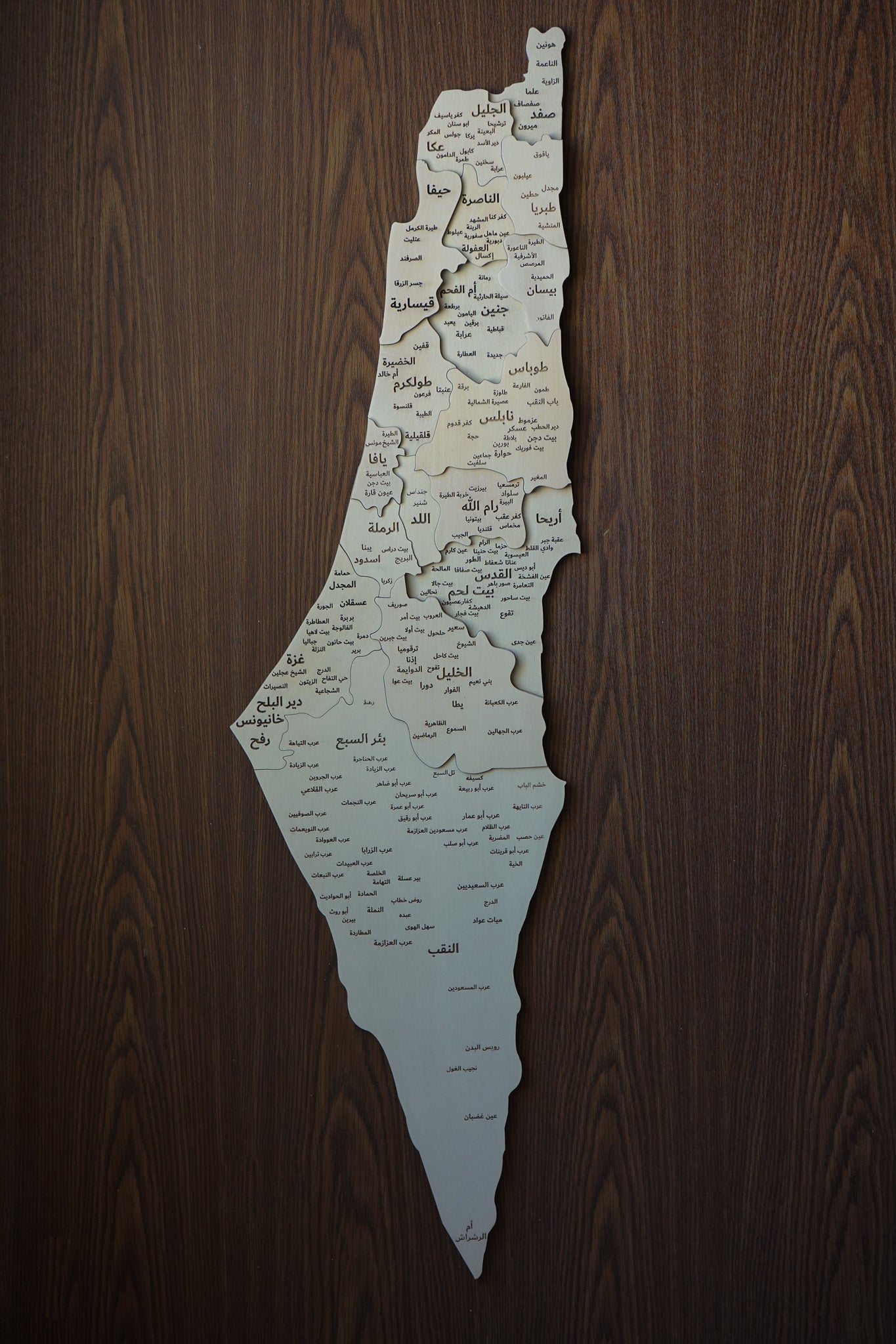 3D Palestine Wooden Map