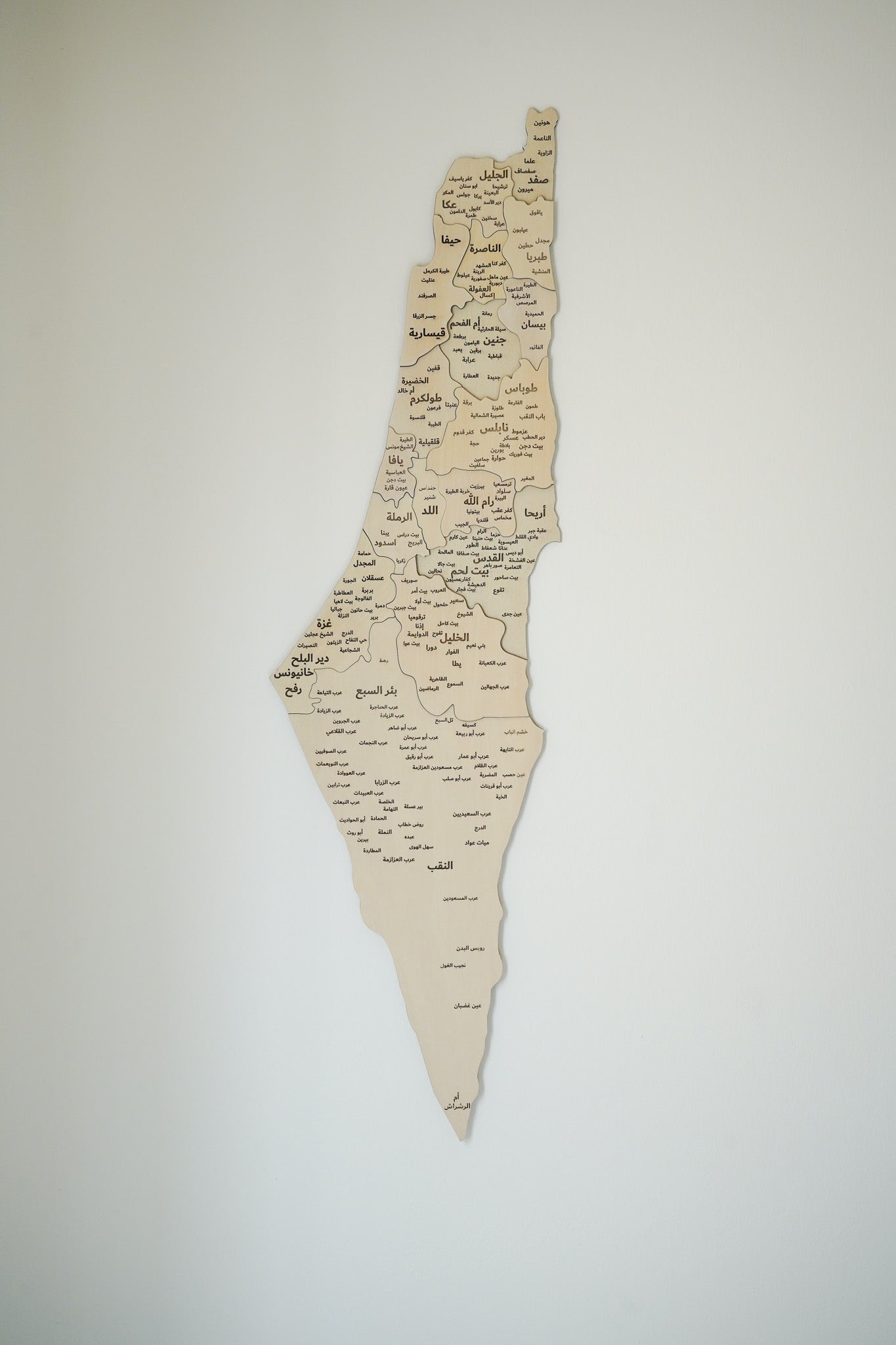 3D Palestine Wooden Map